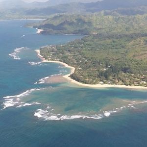 Meet your Posher, Jaimee